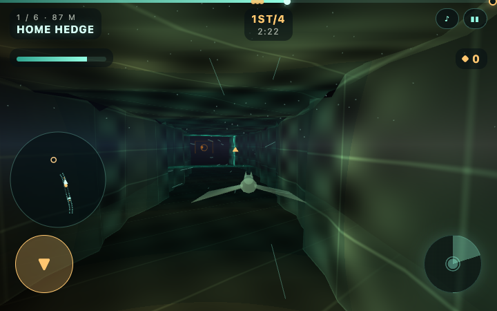 Flyway gameplay